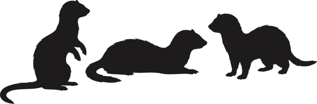Black ferret silhouettes set featuring different poses like standing begging lying down and walking on white background