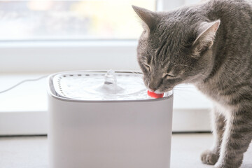 Cat drinking from automatic water dispenser fountain. Summer heat © dark_blade