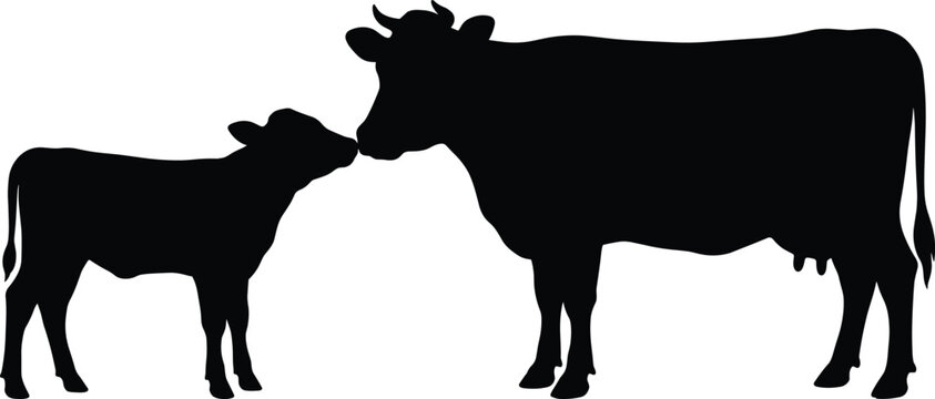 Black silhouette of a cow and calf touching noses isolated on white background for agriculture and farming