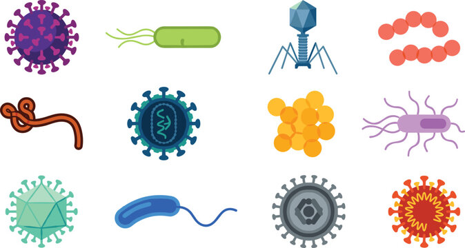 Microbiology bacteria and virus structure vector icon set featuring flat geometric models of bacteriophage coronavirus adenovirus ebola bacillus spirillum and pathogen cells illustrations.