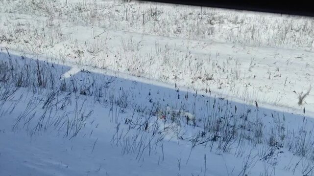 Snow covered winter landscape viewed from moving train window with railway wires and roadside markers. Cold season travel, snowy countryside, transportation journey, winter scenery.