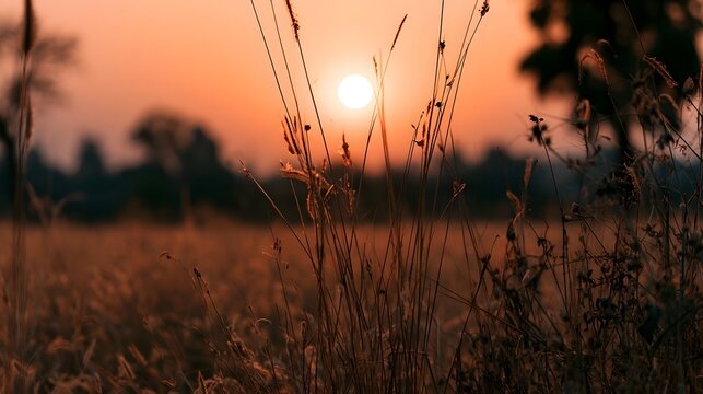 A close up view of a richly textured sun scorched surface with warm earthy tones and vintage patterns