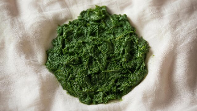 comfrey. Fresh green herbal paste on a linen cloth, a natural remedy prepared. lifestyle magazines, social media lookbooks, designed for influencer and brand collaborations.