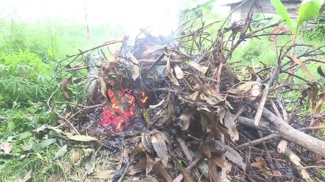 A close-up video capturing intense flames destroying dried organic materials in nature.