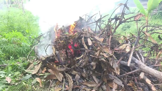 Smoke billows from a backyard bonfire made of branches and leaves on a cloudy day.