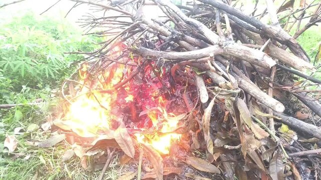 A bonfire of dry branches and leaves burning outdoors with thick smoke rising up.