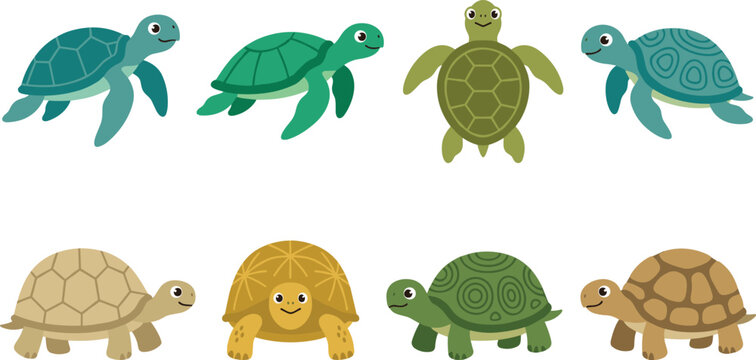 Cute sea turtles and land tortoises vector character set featuring smiling green marine turtles flippers shells side views front views and terrestrial tortoises illustrations.