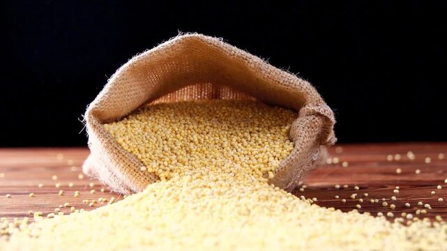 Close up shot of organic yellow millet grains spilling out of a rustic raw burlap jute sack against solid black background