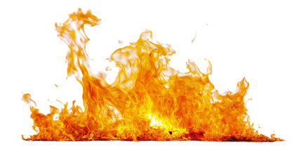 Bright orange flames burning intensely, isolated on transparent background © Giulia