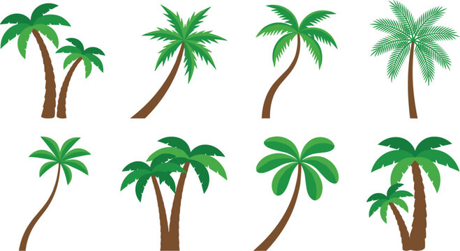 Tropical Palm Trees Vector Icon Set Featuring Various Green Coconut Palms and Curved Trunks for Summer Travel, Beach Resort, and Paradise Island Graphics