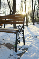 Fototapeta premium park bench on a winter alley at snowfall. bench with snow after snowstorm or in snow calamity in europe