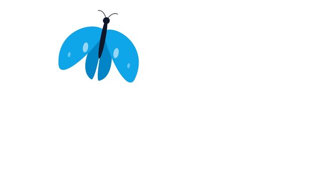 Animated Lifecycle Process of a Geometric Oval Shape Transforming into a Vibrant Blue Butterfly and Flying Away