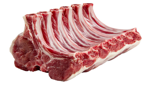 Raw rack of lamb with visible bones and fat, isolated on transparent background