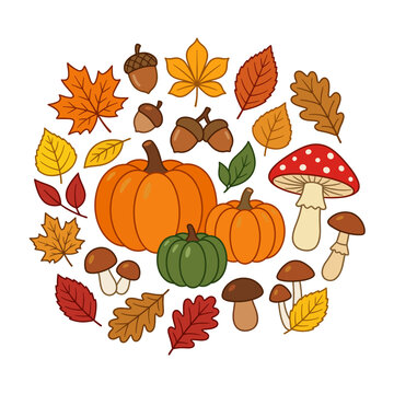 Autumn harvest elements round frame with pumpkins leaves mushrooms aco