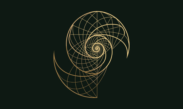 Gold Spiral Geometric Logo Emblem with Logarithmic Spiral and Concentric Lines for Luxury Branding and Computational Design Vector