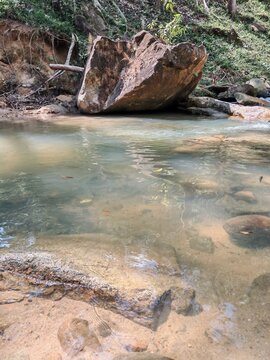 Shallow stream flows over smooth rocks and sand, framed by boulder, vegetation, and exposed roots in serene forest setting