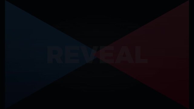 Animated graphic displaying the white text REVEAL over a dark geometric background.