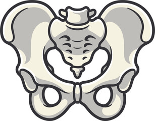Naklejka premium Illustration of human pelvis bone structure, anatomical, medical, skeletal system, isolated on white