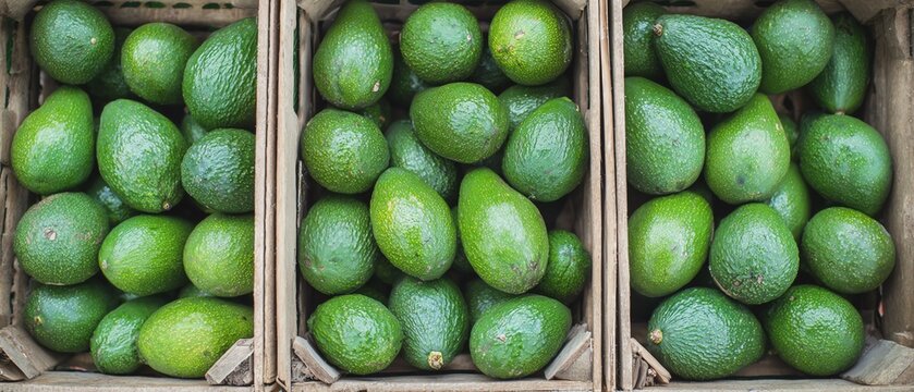 Fresh avocados stacked in wooden crates.