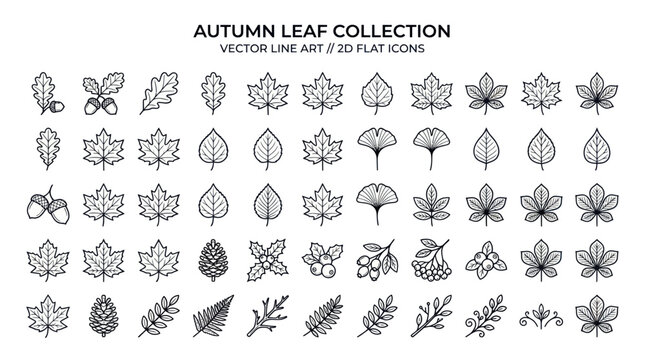 Autumn leaf collection vector icons set.