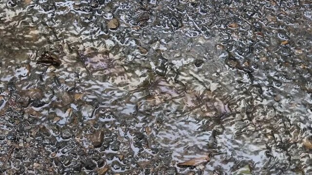 Wet asphalt rainwater reflection puddle outdoor textured natural rainy surface weather moody atmosphere ground rough gray stone abstract urban environment detail closeup pattern background shiny