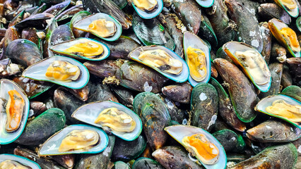 A close-up view of fresh Asian green mussels opened on the half shell, showcasing the meat on a pile of whole mussels at a market display. © Thaisucculents