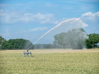 Obraz premium Agricultural Irrigation System