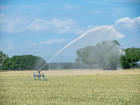 Agricultural Irrigation System