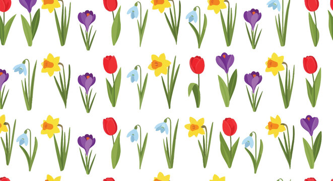 Spring floral seamless pattern with colorful tulips daffodils crocus and snowdrop flowers repeated on white background flat vector botanical illustration.