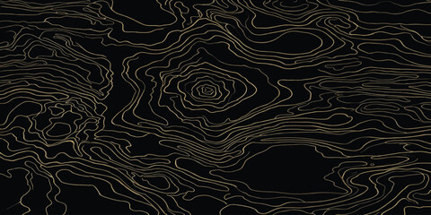 Abstract topographic map contour lines pattern in gold on black with topography abstract geometric navigation geography cartography elevation landscape background technical minimalist © MOHAMAD
