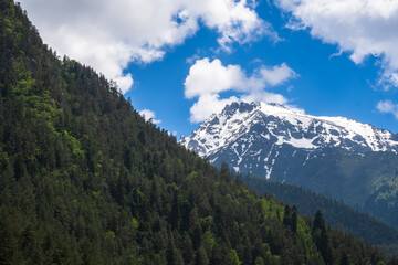 Fototapeta premium Snow-covered mountain peak towers over dense green forest, with a clear blue sky and fluffy clouds creating a picturesque natural scene