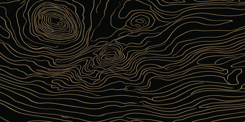 Gold topographic map elevation contour lines on black with topography abstract elevation geography cartography navigation landscape geometric background technical minimalist artistic © MOHAMAD