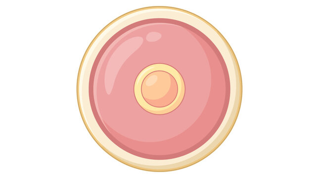 Large Spherical Pink and Yellow Human Ovum Egg Icon