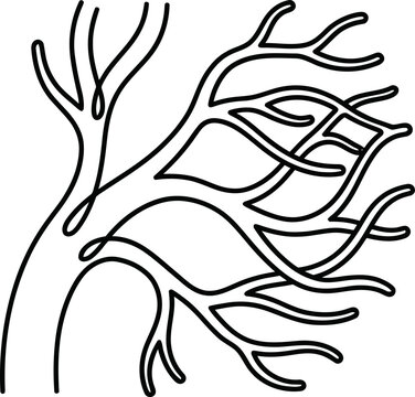 Minimalist continuous line art of branching tree or blood vessel structure.