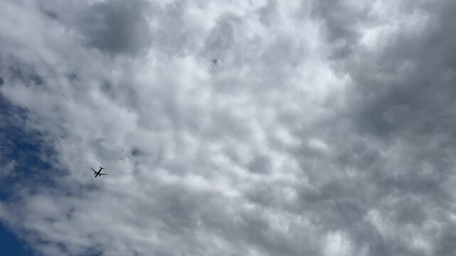 Aircraft flying over Amsterdam Forest park near Schiphol Airport, Netherlands Aircraft flying over Amsterdam Forest