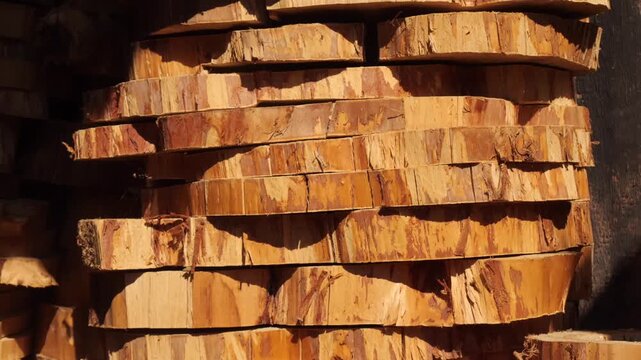 cut wooden logs stacked close together