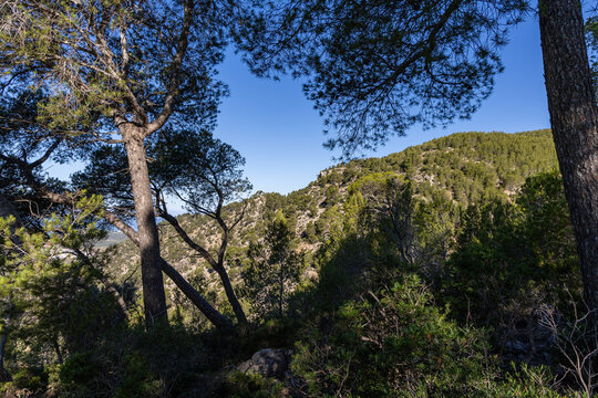 Mountain landscape of the island of Mallorca, Spain