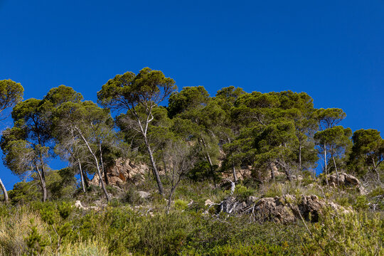 Mountain landscape of the island of Mallorca, Spain