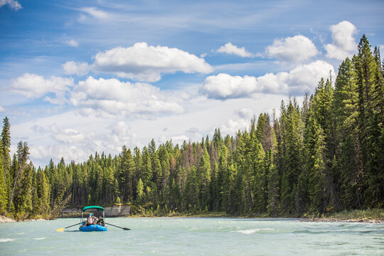 Scenic river rafting trip through a forest