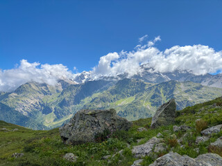 Obraz premium Alpine rocks and wildflowers facing Mont Blanc massif, France