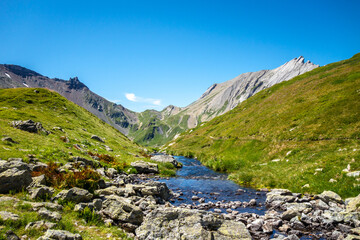 Fototapeta premium Clear mountain stream flowing in alpine valley, France