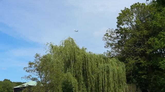 Aircraft flying over Amsterdam Forest park near Schiphol Airport, Netherlands Aircraft flying over Amsterdam Forest