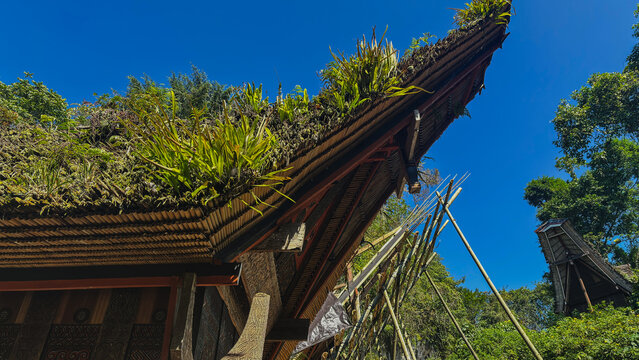 Tongkonan Toraja architecture, detail art traditional.