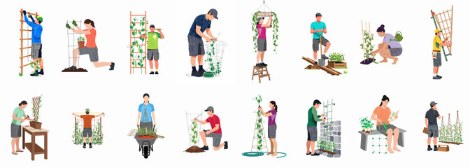 Fototapeta premium Collection of flat illustrations showing people building trellises and caring for climbing plants in a vertical garden setting.