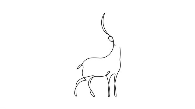 One Line Drawing Animation of Elegant Deer with Antlers