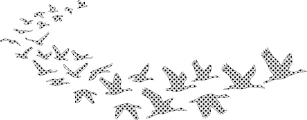 Flying birds vector illustration, a flock of geese in migration, abstract black and white animal silhouette, dynamic wildlife graphic element for nature and freedom concepts © Farzana