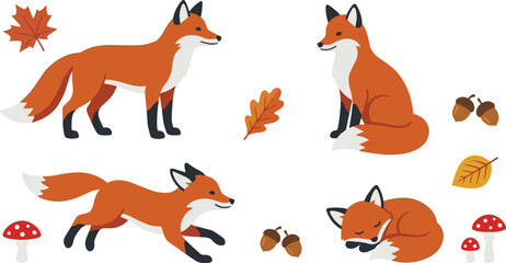 Fototapeta premium Cute Red Fox Animal Vector Illustration Set with Running Sitting and Sleeping Foxes Autumn Leaves Acorns and Mushrooms in Forest Woodland Design