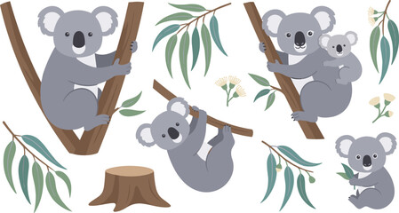 Cute Koala Bear Family Vector Illustration Set with Joey Baby Clinging to Mother Climbing Eucalyptus Trees in Australian Wildlife Flat Design © MinnatunAkter