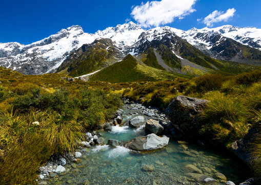 A scenic view of a mountain stream leading through tussock grasses to snow capped mountains