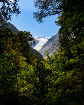 View through a frame of trees to a glacier